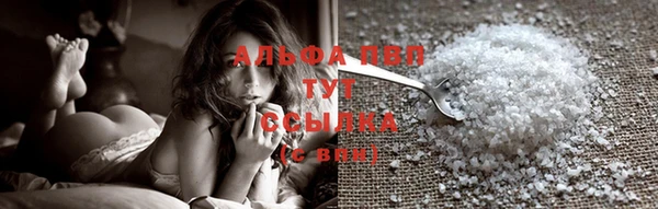 сатива Ростов