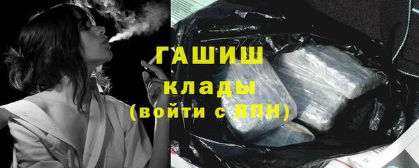 сатива Ростов