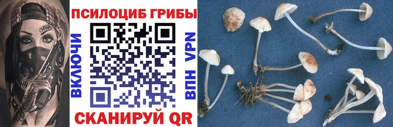 Купить  Бийск  Псилоцибиновые грибы GOLDEN TEACHER 